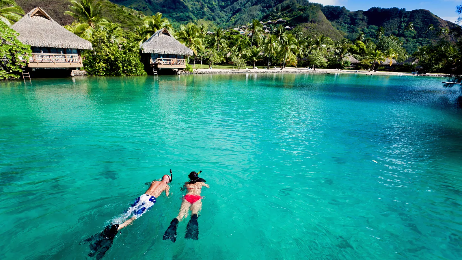 Snorkelling in French Polynesia